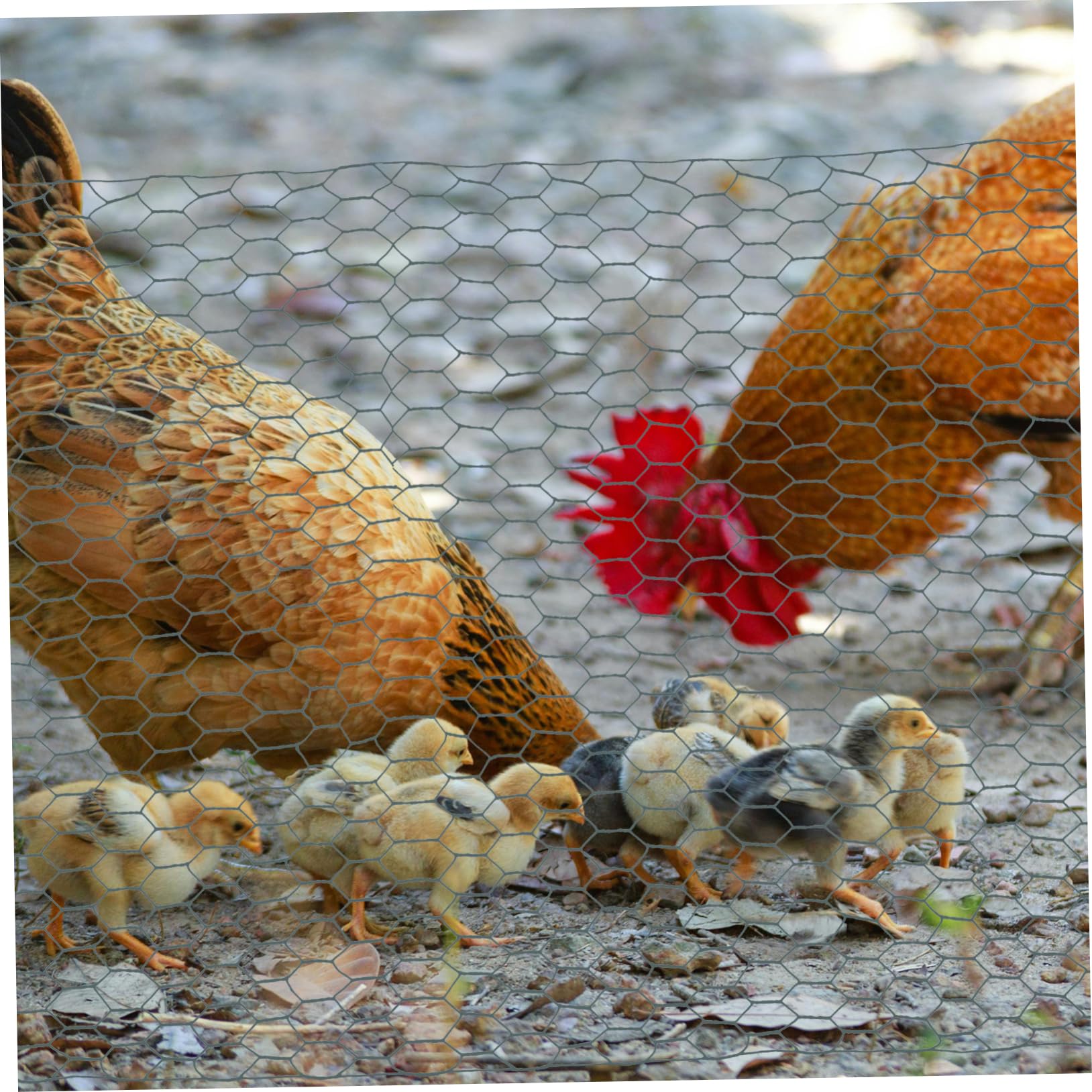 鶏用 電気ネットフェンス 2 中古 鶏用 電気ネットフェンス 2 中古